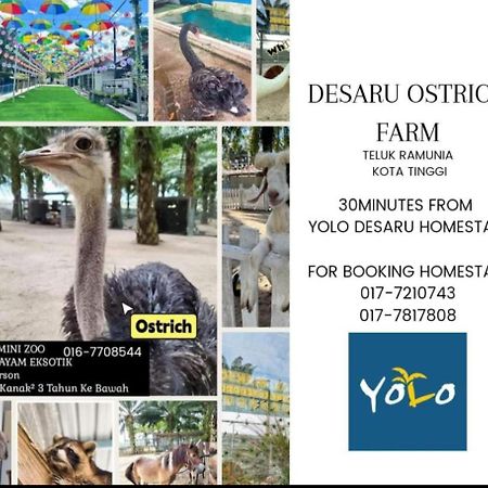 Desaru Homestay-Eva Villa Pool Homestay By Yolo Resort Bandar Penawar Екстер'єр фото